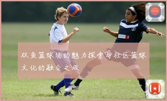 双鱼篮球场的魅力探索与社区篮球文化的融合之旅