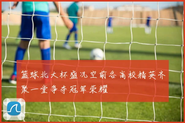 篮球北大杯盛况空前各高校精英齐聚一堂争夺冠军荣耀