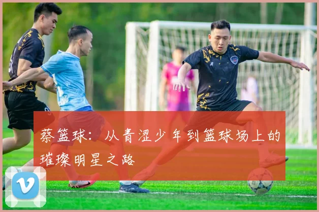 蔡篮球：从青涩少年到篮球场上的璀璨明星之路